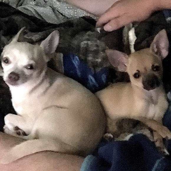 👋🏼👩🏼Welcome Posher's!!👩🏼‍💻🤳 - Picture 12 of 16